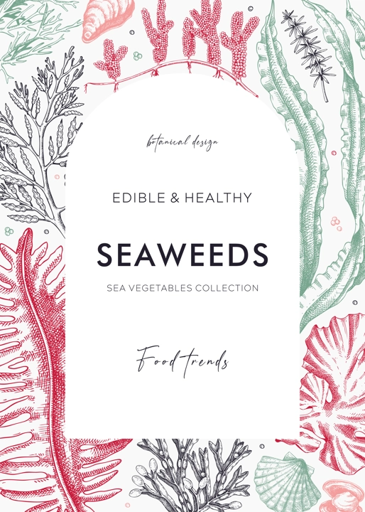 Edible seaweeds arc frame design. Hand drawn sea algae in sketch style. Vector illustration with kelp, wakame, kombu, and hijiki drawings. Healthy food ingredients banner for Asian cuisine menu.